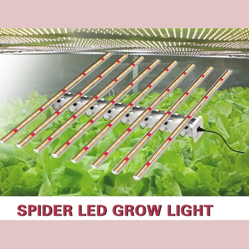 Spider LED Grow Lights 800W