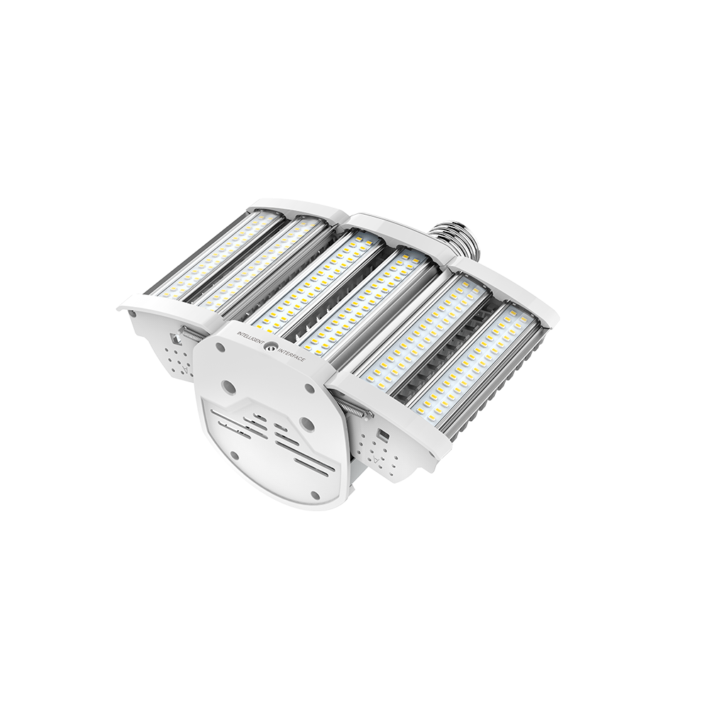 AREA 80W HID250 EX39 40K 120V
